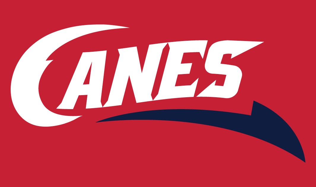 Lethbridge Hurricanes 2013-Pres Secondary Logo iron on transfers for T-shirts